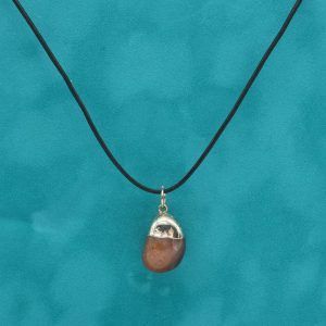 Collar Namib